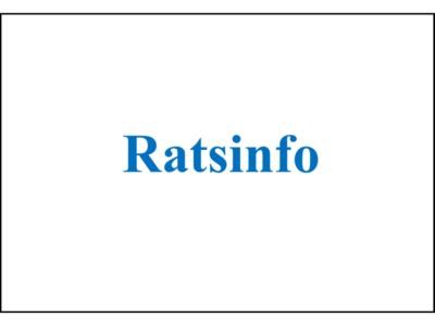 Ratsinfo