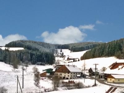 Langenbach im Winter